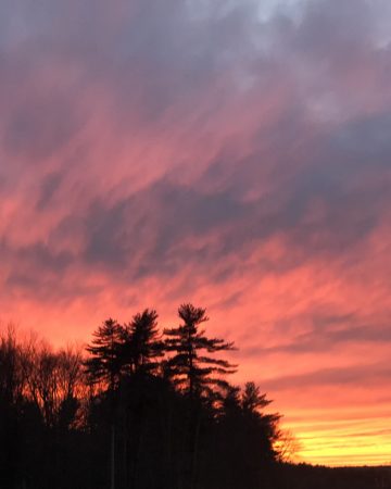 the truth about shadows, darkness, & your ego